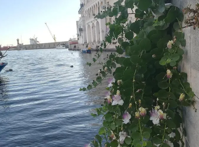 Kasamare- Casa de Férias